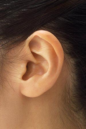 金沢市で選ばれている歯医者さんです