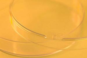 オンライン診療は札幌の病院が良い