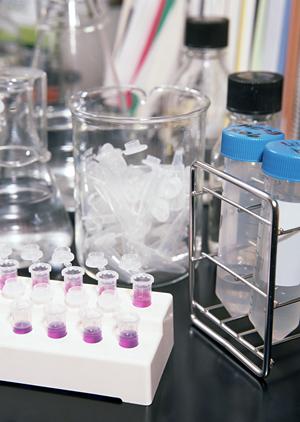 町田で受ける内視鏡検査の完全ガイド2025年版：安心・安全のためのポイントと最新情報